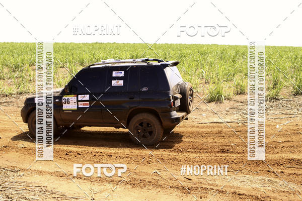 Buy your photos of the event18 Rally da Solidariedade Off Road Experience on Fotop