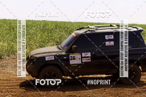 Buy your photos of the event18 Rally da Solidariedade Off Road Experience on Fotop