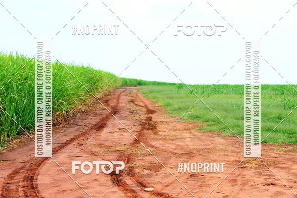 Buy your photos of the event18 Rally da Solidariedade Off Road Experience on Fotop