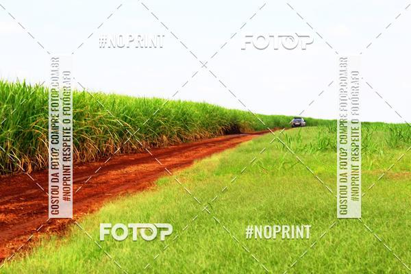 Buy your photos of the event18 Rally da Solidariedade Off Road Experience on Fotop