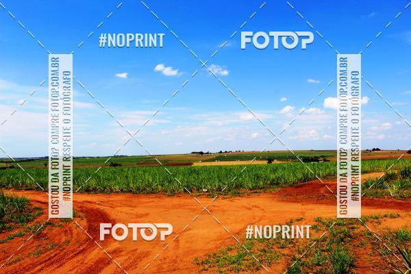 Buy your photos of the event18 Rally da Solidariedade Off Road Experience on Fotop