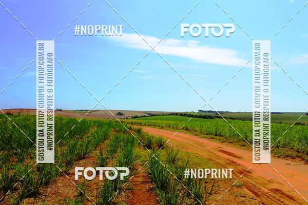 Buy your photos of the event18 Rally da Solidariedade Off Road Experience on Fotop