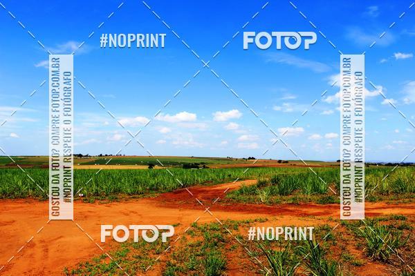 Buy your photos of the event18 Rally da Solidariedade Off Road Experience on Fotop