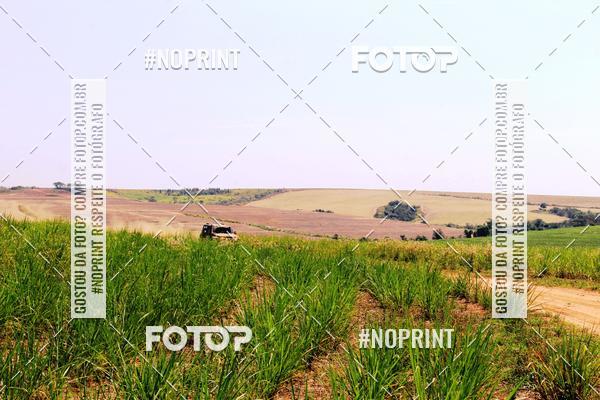 Buy your photos of the event18 Rally da Solidariedade Off Road Experience on Fotop