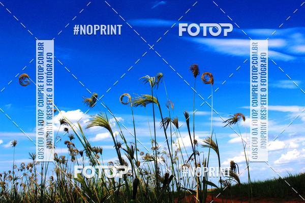 Buy your photos of the event18 Rally da Solidariedade Off Road Experience on Fotop