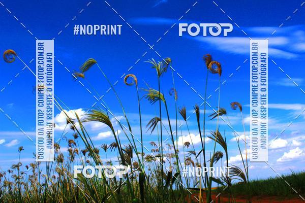 Buy your photos of the event18 Rally da Solidariedade Off Road Experience on Fotop
