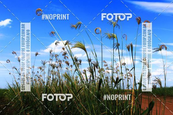 Buy your photos of the event18 Rally da Solidariedade Off Road Experience on Fotop