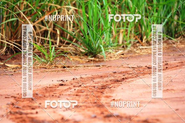 Buy your photos of the event18 Rally da Solidariedade Off Road Experience on Fotop