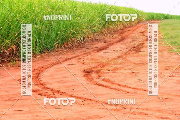 Buy your photos of the event18 Rally da Solidariedade Off Road Experience on Fotop