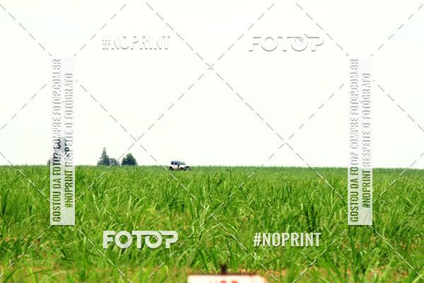 Buy your photos of the event18 Rally da Solidariedade Off Road Experience on Fotop
