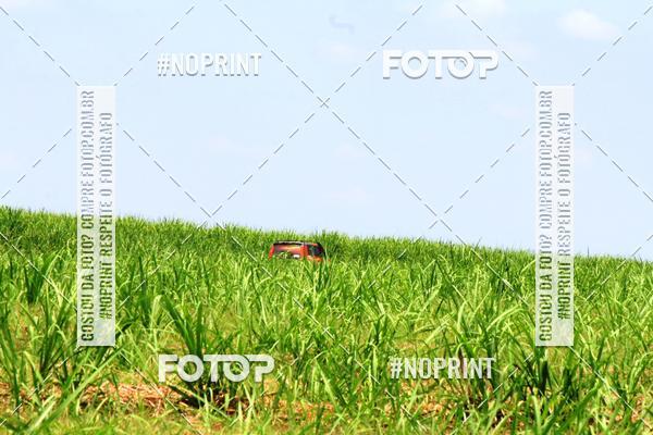 Buy your photos of the event18 Rally da Solidariedade Off Road Experience on Fotop