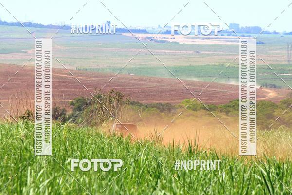 Buy your photos of the event18 Rally da Solidariedade Off Road Experience on Fotop