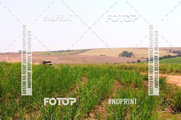 Buy your photos of the event18 Rally da Solidariedade Off Road Experience on Fotop