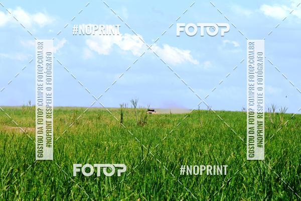 Buy your photos of the event18 Rally da Solidariedade Off Road Experience on Fotop