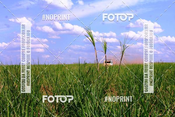 Buy your photos of the event18 Rally da Solidariedade Off Road Experience on Fotop