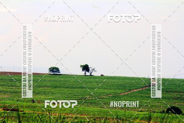 Buy your photos of the event18 Rally da Solidariedade Off Road Experience on Fotop