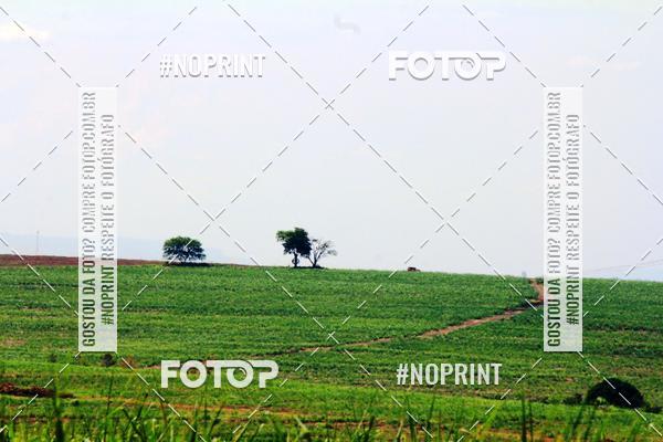 Buy your photos of the event18 Rally da Solidariedade Off Road Experience on Fotop