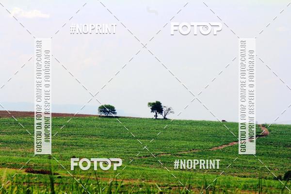 Buy your photos of the event18 Rally da Solidariedade Off Road Experience on Fotop
