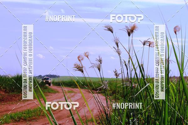 Buy your photos of the event18 Rally da Solidariedade Off Road Experience on Fotop