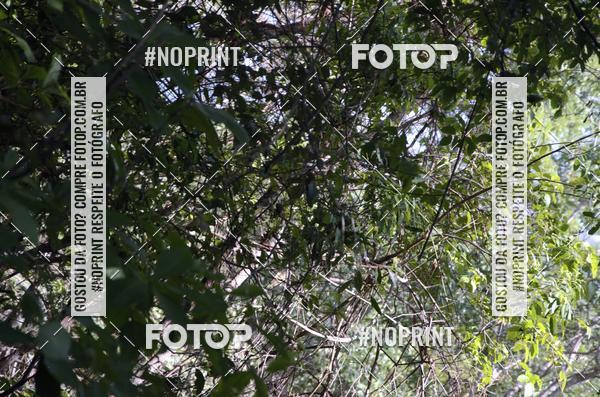 Compre as suas fotos do eventoDesafio dos Fortes  no Fotop