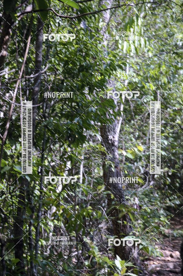 Compre as suas fotos do eventoDesafio dos Fortes  no Fotop