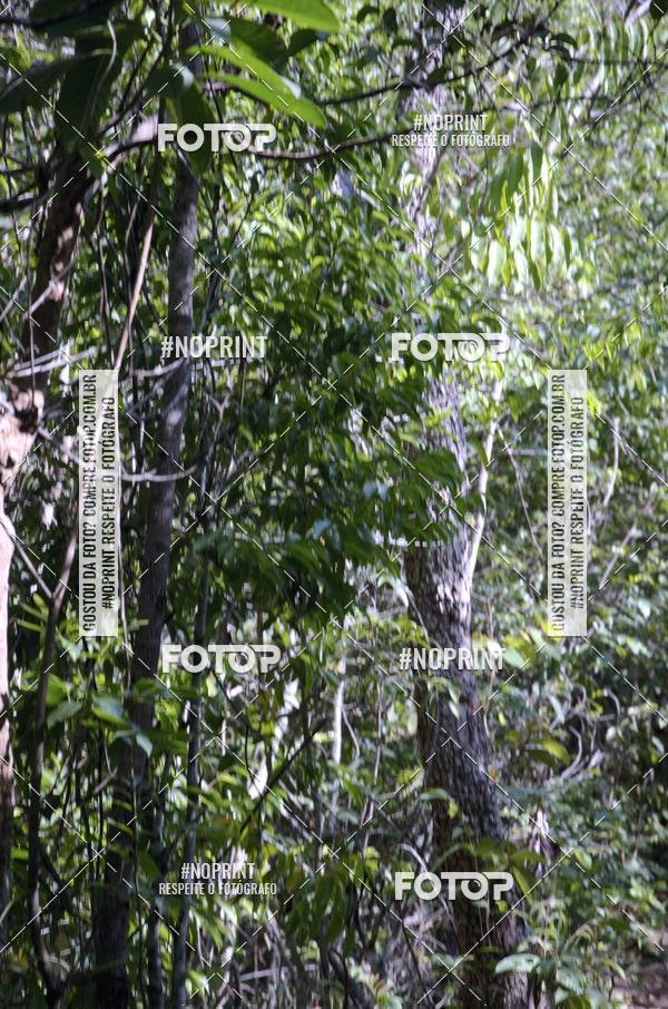 Compre suas fotos do eventoDesafio dos Fortes  no Fotop