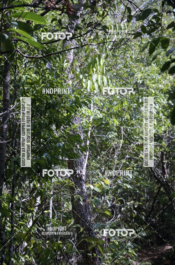 Compre suas fotos do eventoDesafio dos Fortes  no Fotop