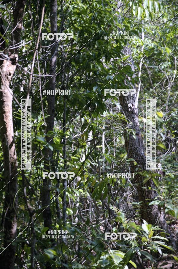 Compre suas fotos do eventoDesafio dos Fortes  no Fotop