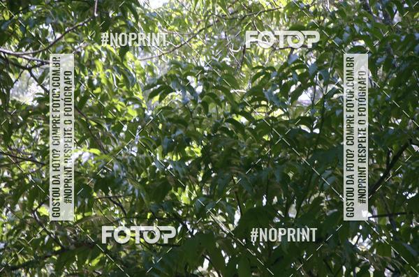 Buy your photos of the eventDesafio dos Fortes  on Fotop