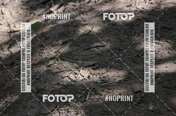 Compra tus fotos del eventoDesafio dos Fortes  En Fotop