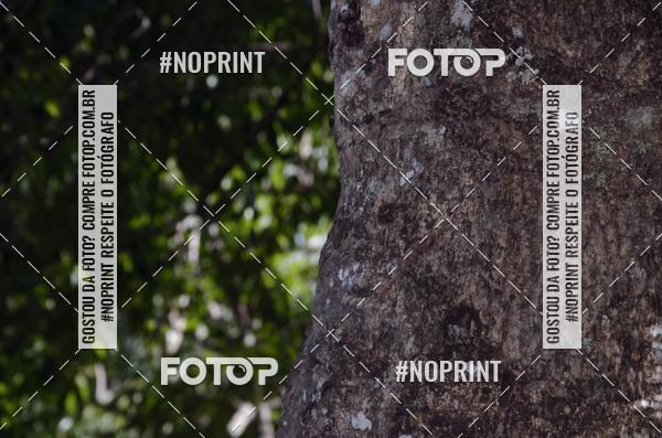 Compra tus fotos del eventoDesafio dos Fortes  En Fotop
