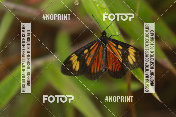 Buy your photos of the eventDesafio Pedra do Ba on Fotop