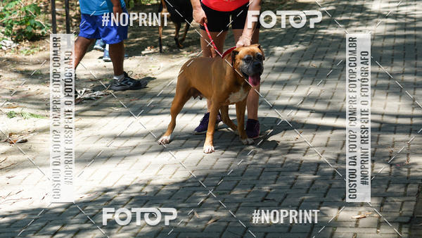 Buy your photos of the eventTrein�o Rosa  on Fotop