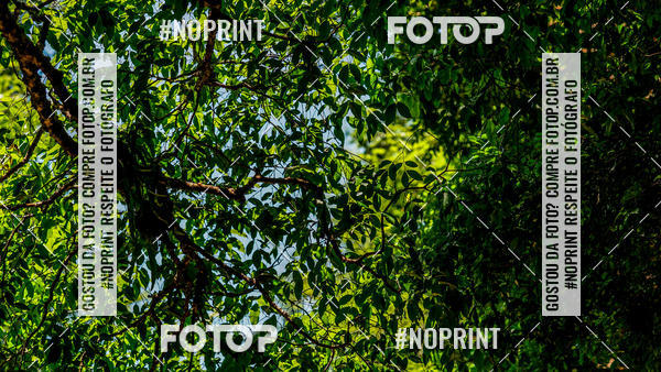 Buy your photos of the eventTrein�o Rosa  on Fotop