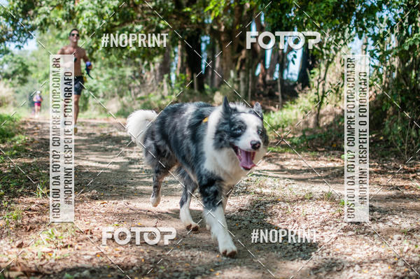 Buy your photos of the eventTrein�o Rosa  on Fotop