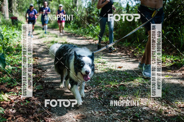 Buy your photos of the eventTrein�o Rosa  on Fotop