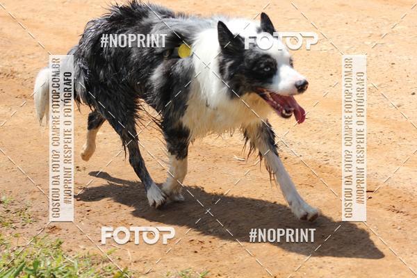 Buy your photos of the eventTrein�o Rosa  on Fotop