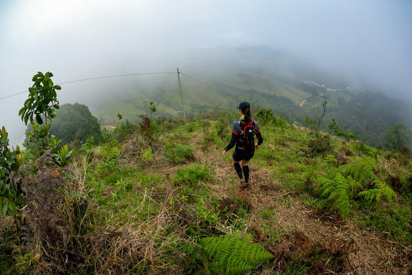 Buy your photos of the eventEvolution on Fotop