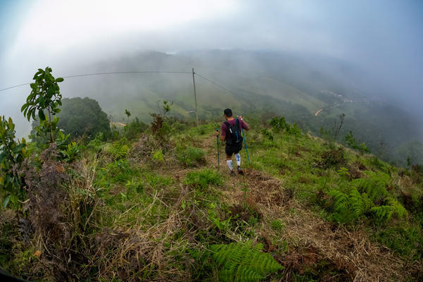 Buy your photos of the eventEvolution on Fotop