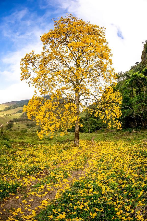 Buy your photos of the eventEvolution on Fotop