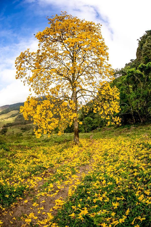 Buy your photos of the eventEvolution on Fotop