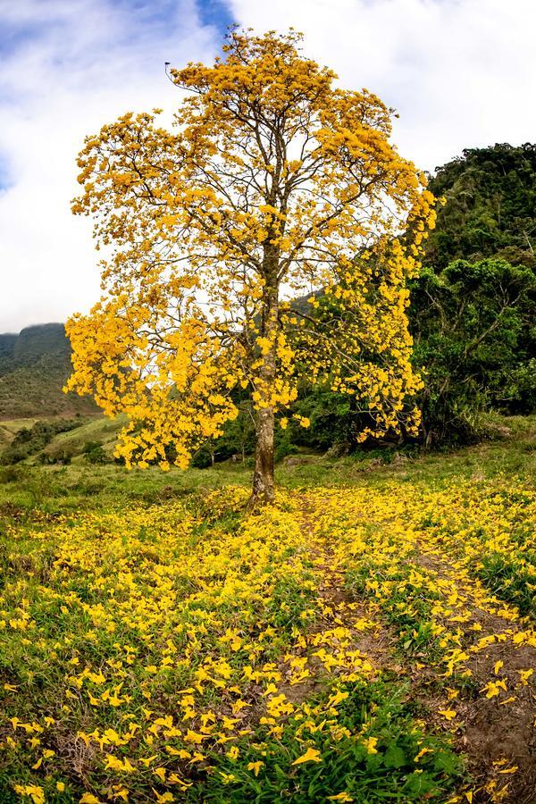 Buy your photos of the eventEvolution on Fotop