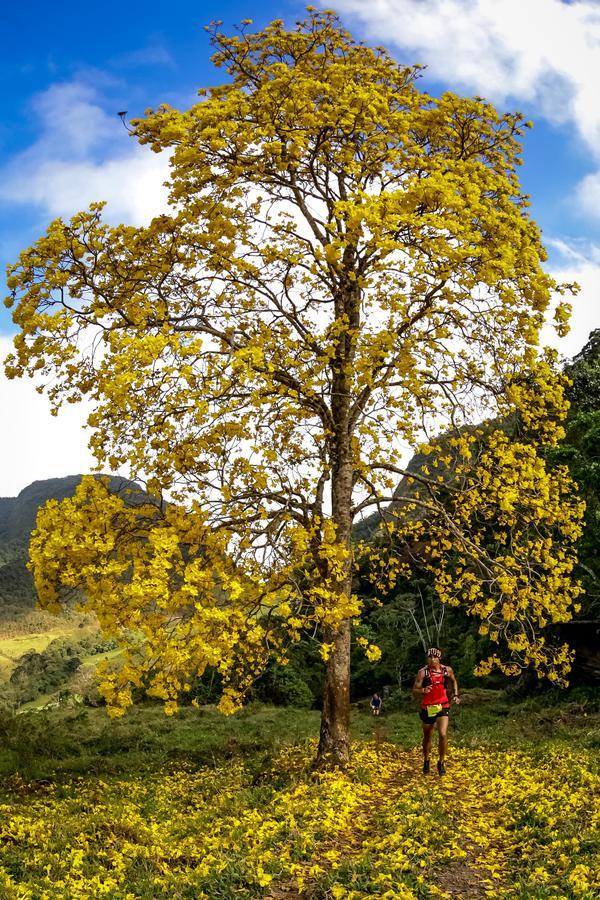 Buy your photos of the eventEvolution on Fotop