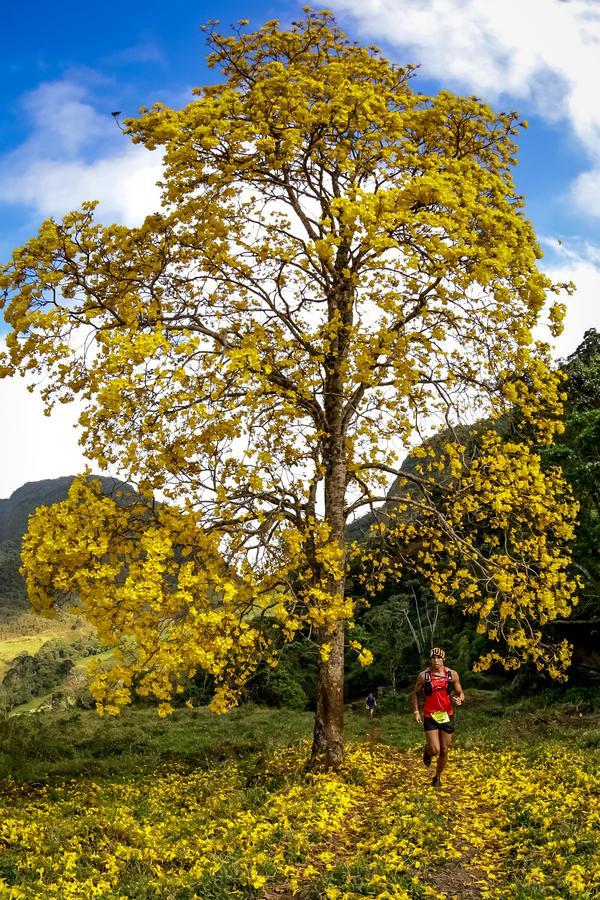 Buy your photos of the eventEvolution on Fotop