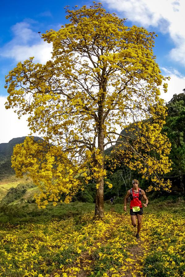 Buy your photos of the eventEvolution on Fotop