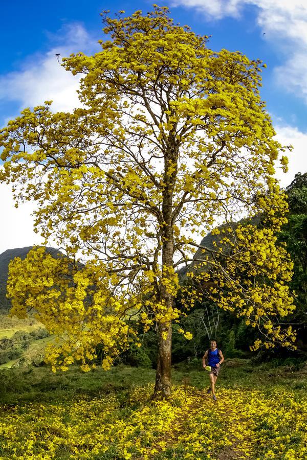 Buy your photos of the eventEvolution on Fotop