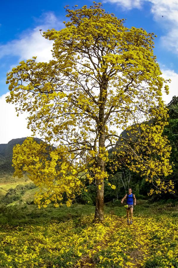 Buy your photos of the eventEvolution on Fotop