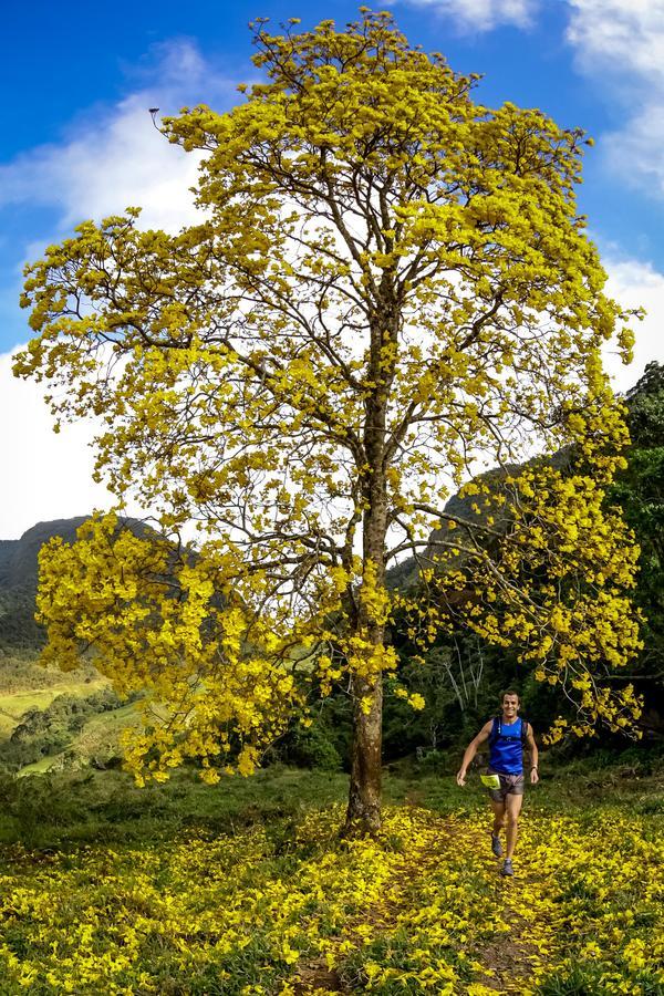 Buy your photos of the eventEvolution on Fotop