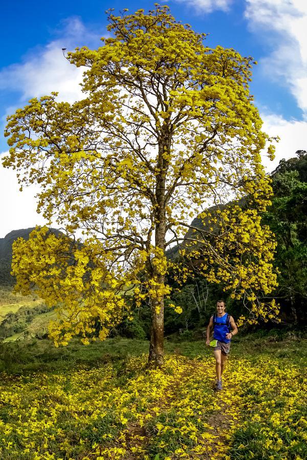 Buy your photos of the eventEvolution on Fotop