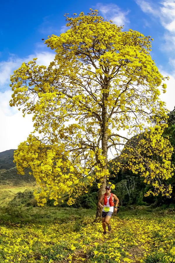 Buy your photos of the eventEvolution on Fotop
